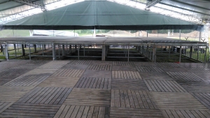 Deck/ Piso